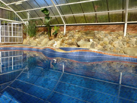 Alpine Aspects - Queensland Tourism 39