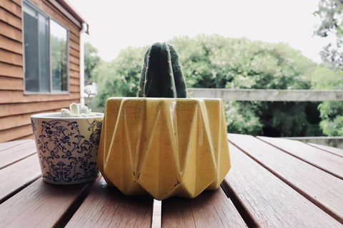 Red Ceder Cottage - Great Ocean Road - Port Campbell - QLD Tourism 21