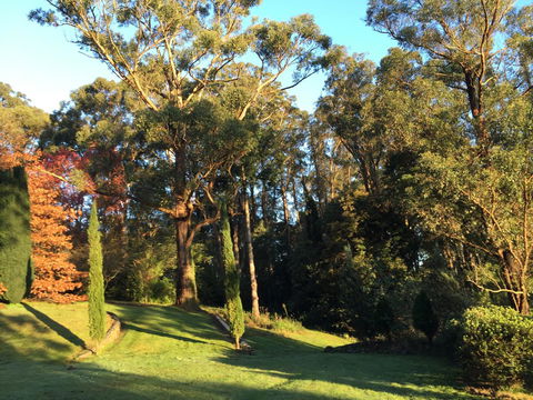 The Dan - Queensland Tourism 23