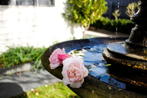 Bed Of Roses - QLD Tourism 35