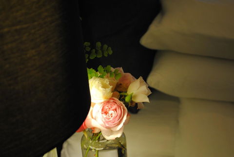 Bed Of Roses - QLD Tourism 23