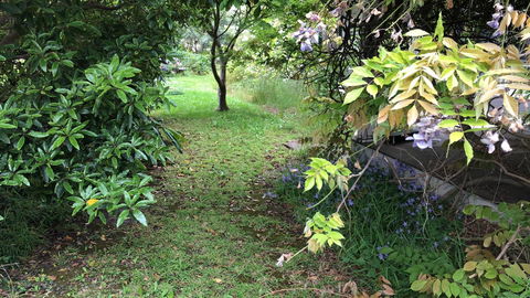 Lorelei Bed & Breakfast - QLD Tourism 10