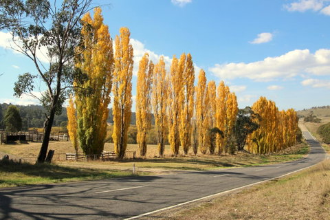 3 Bells Alpine Cottage - QLD Tourism 20