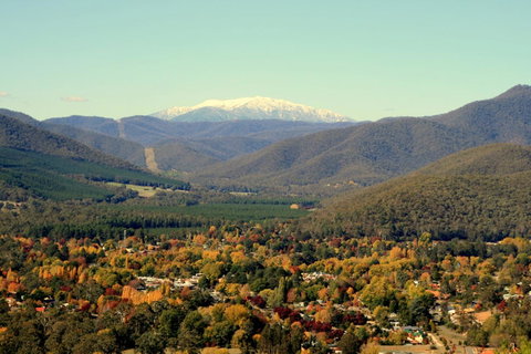 3 Bells Alpine Cottage - QLD Tourism 24