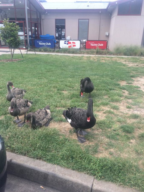 Ambassador Motor Inn - QLD Tourism 29