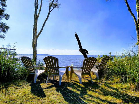 Lake Weyba Noosa Lodge & Kangaroos - QLD Tourism 44