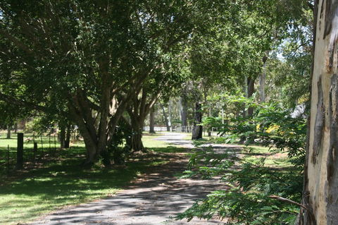 Lake Weyba Noosa Lodge & Kangaroos - QLD Tourism 34