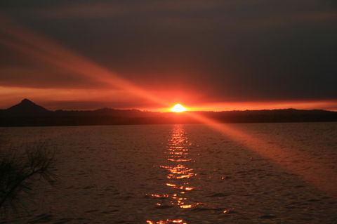 Lake Weyba Noosa Lodge & Kangaroos - QLD Tourism 41