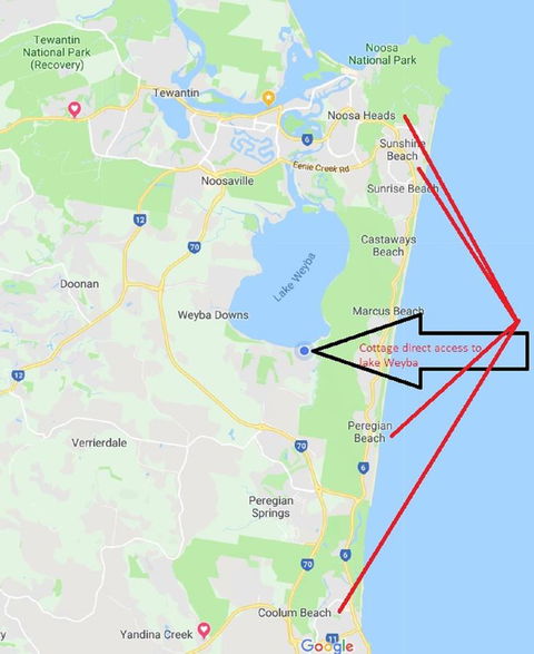 Lake Weyba Noosa Lodge & Kangaroos - QLD Tourism 25