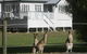 Lake Weyba Noosa Lodge & Kangaroos - thumb 28