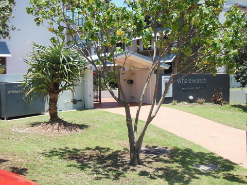 Whale Watch Ocean Beach Resort - QLD Tourism 14