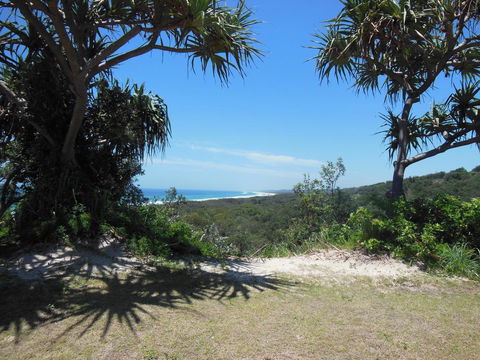Whale Watch Ocean Beach Resort - QLD Tourism 3