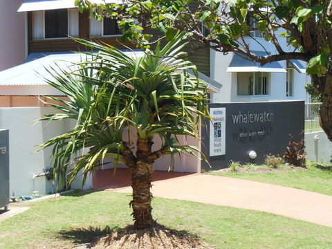 Whale Watch Ocean Beach Resort - QLD Tourism 15