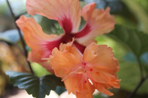 Amaroo On Mandalay, Magnetic Island - Queensland Tourism 34