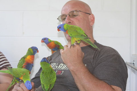 Amaroo On Mandalay, Magnetic Island - Queensland Tourism 33