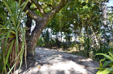 PK\'s Jungle Village - Queensland Tourism 28