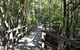 PK\'s Jungle Village - thumb 32