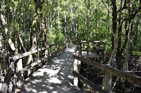 PK\'s Jungle Village - Queensland Tourism 32