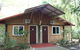PK\'s Jungle Village - thumb 7