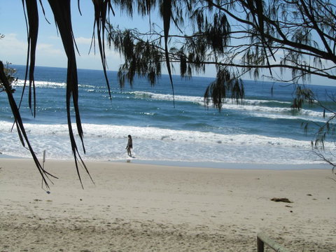 Le Beach Apartments - QLD Tourism 16