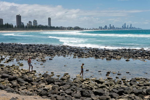 Oceania On Burleigh Beach - QLD Tourism 42