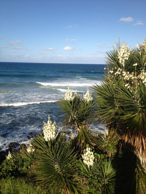 Oceania On Burleigh Beach - QLD Tourism 23