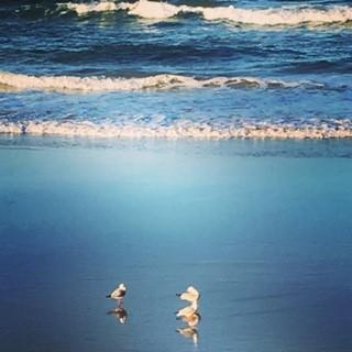 Oceania On Burleigh Beach - QLD Tourism 40