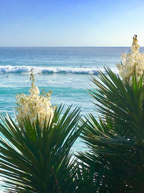 Oceania On Burleigh Beach - QLD Tourism 21