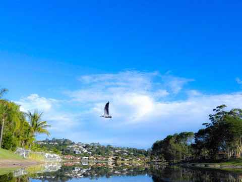 Bay Of Palms - Queensland Tourism 18