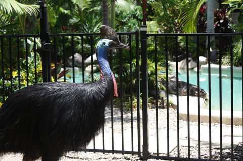 Boutique Bungalows - QLD Tourism 17