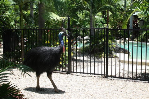 Boutique Bungalows - QLD Tourism 15