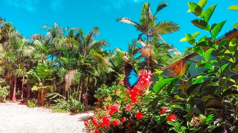 Boutique Bungalows - QLD Tourism 14