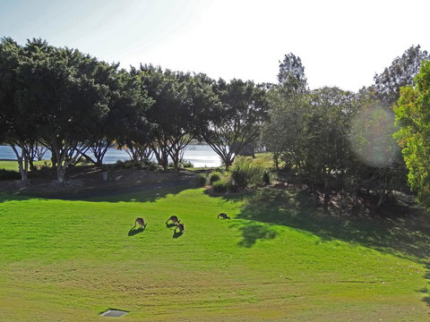 Waterfront Resort Villa With Buggy - QLD Tourism 32