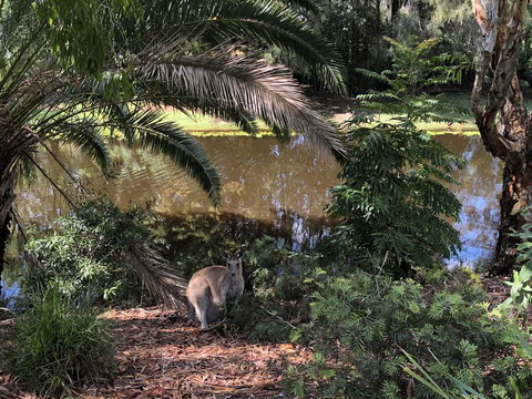 Waterfront Resort Villa With Buggy - QLD Tourism 25