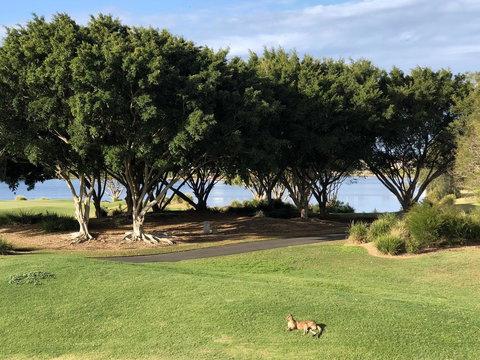 Waterfront Resort Villa With Buggy - QLD Tourism 21