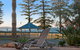 The Norfolks On Moffat Beach - thumb 12