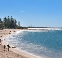 The Norfolks on Moffat Beach