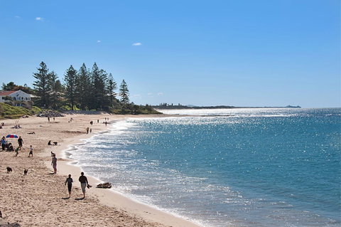 The Norfolks On Moffat Beach - QLD Tourism 0