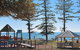 The Norfolks On Moffat Beach - thumb 11