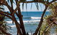 The Norfolks On Moffat Beach - thumb 7
