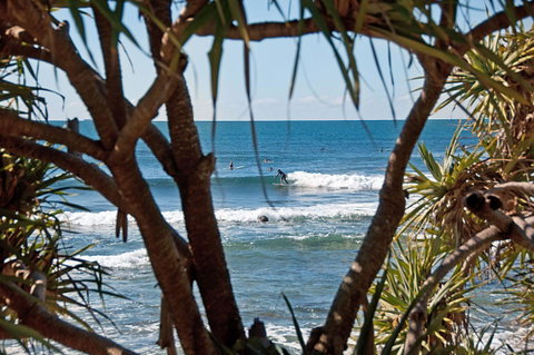 The Norfolks On Moffat Beach - QLD Tourism 7