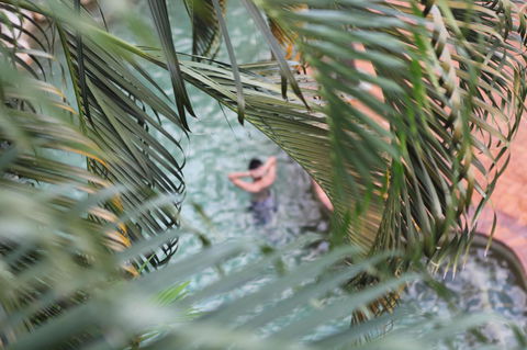 Coral Tree Inn - Queensland Tourism 36
