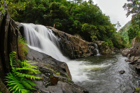 Coral Tree Inn - Queensland Tourism 40