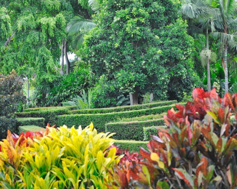 Soho Brisbane - QLD Tourism 3