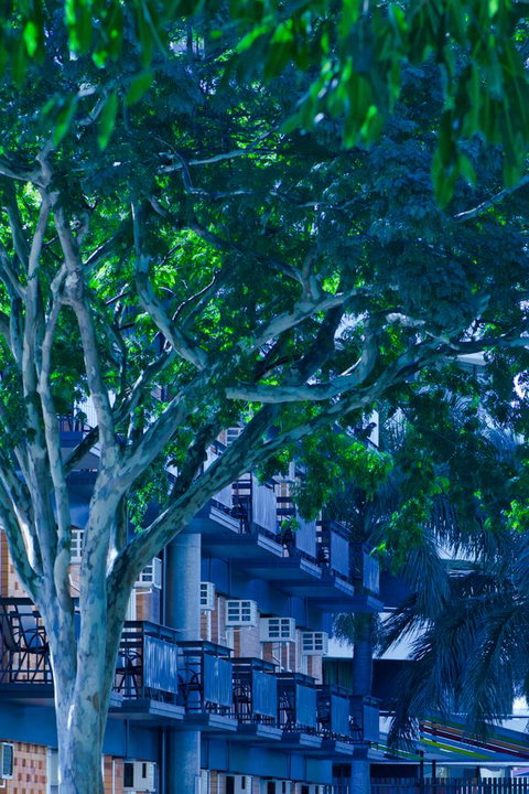 Soho Brisbane - QLD Tourism 12