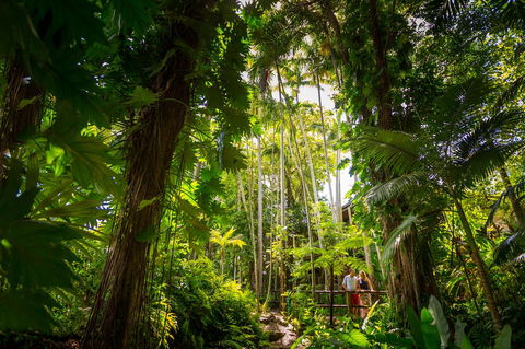 Cairns Colonial Club Resort - QLD Tourism 22