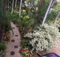 Casuarina - QLD Tourism