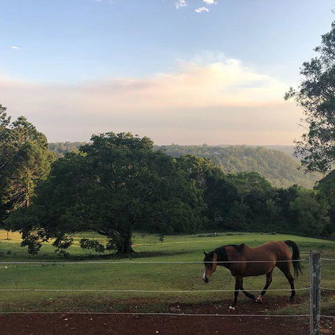 Montville Holiday Apartments - Queensland Tourism 3