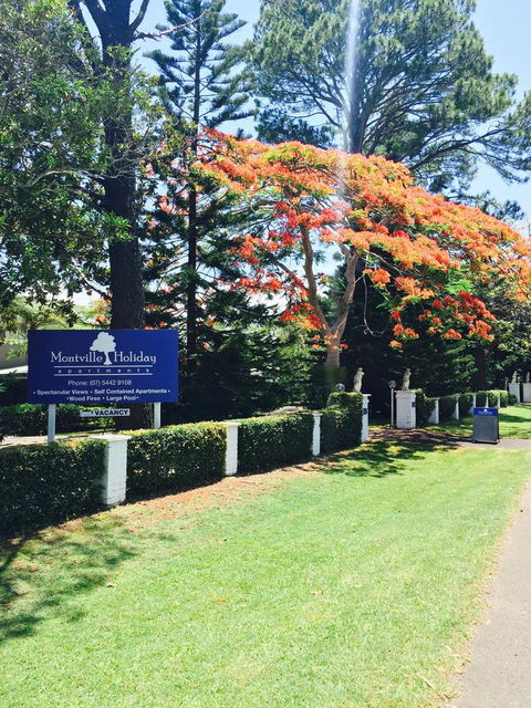 Montville Holiday Apartments - Queensland Tourism 22