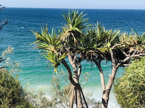 Waves And White Horses Seaview Retreat (adults Only) - QLD Tourism 0